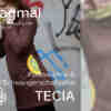 tragmal TECIA Schnittmuster